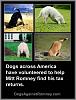 Click image for larger version. 

Name:	dogs_helping_mitt_find_tax_returns.jpg 
Views:	169 
Size:	103.4 KB 
ID:	35289