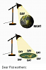 Click image for larger version. 

Name:	flat earth.png 
Views:	18 
Size:	72.8 KB 
ID:	37646