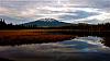 Click image for larger version. 

Name:	Hosmer Lake 2 (2).jpg 
Views:	32 
Size:	412.0 KB 
ID:	37410