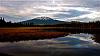 Click image for larger version. 

Name:	Hosmer Lake 2 (2).jpg 
Views:	38 
Size:	412.0 KB 
ID:	37410