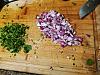 Click image for larger version. 

Name:	cilantro and onions.jpg 
Views:	9 
Size:	353.5 KB 
ID:	40106