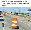 Click image for larger version. 

Name:	traffic cones.jpg 
Views:	21 
Size:	37.2 KB 
ID:	39025