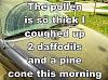 Click image for larger version. 

Name:	pollen.jpg 
Views:	44 
Size:	63.9 KB 
ID:	39615